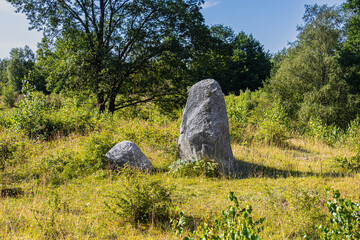 Erratic blocks on a meadow