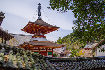 Naklejka premium 早春の天野山金剛寺（大阪府河内長野市）
