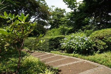 道