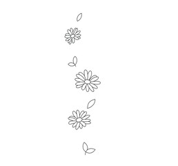 Vector isolated vertically falling camomile flowers with leaves colorless black and white contour line drawing - obrazy, fototapety, plakaty