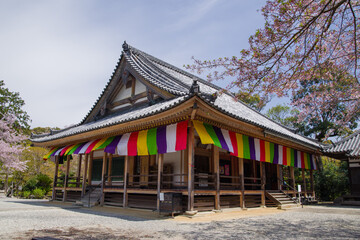 Fototapeta premium 松尾寺（大阪府和泉市）