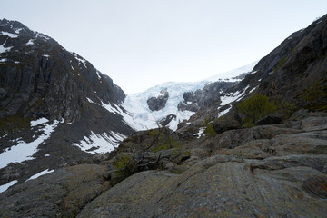 Fototapeta na wymiar buarbreen glacier in the mountains Odda