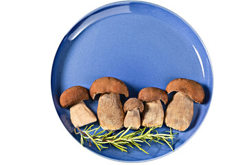 family of porcini Boletus edulis king bolete mushrooms on a plate