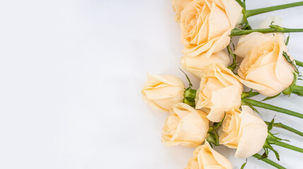 Minimalist champagne rose white poster background