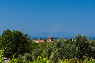 Bolgheri, Burg gesehen durch Olivenhain mit Meer und Insel Elba im Hintergrund
