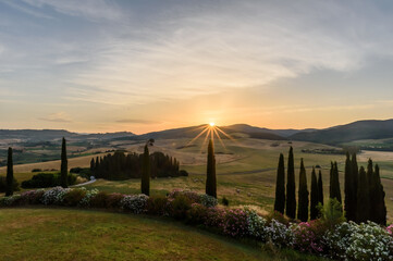 Fototapeta na wymiar Sonnenaufgang im Sommer in der Toskana mit Feldern, Hügeln, Zypressen und Oleander