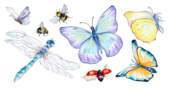 Set of grassland insects watercolor illustration on white.