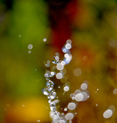 Waterdrops levitate on blur background. morning shot
