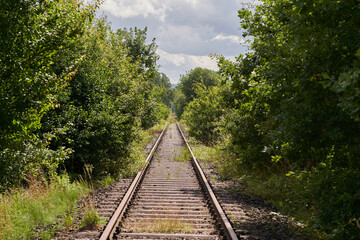 Railway in the forest