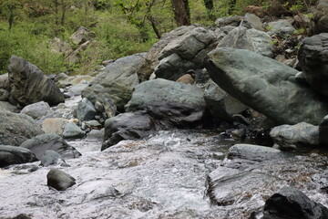 Liguria, Italy- April 25, 2022: Beautiful colorful spring summer natural landscape with a lake in the park surrounded by green foliage of trees in the sunlight and stone path in the foreground.