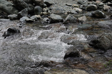 Liguria, Italy- April 25, 2022: Beautiful colorful spring summer natural landscape with a lake in the park surrounded by green foliage of trees in the sunlight and stone path in the foreground.