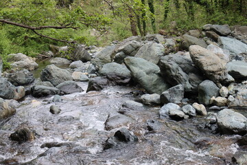 Liguria, Italy- April 25, 2022: Beautiful colorful spring summer natural landscape with a lake in the park surrounded by green foliage of trees in the sunlight and stone path in the foreground.