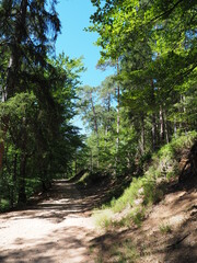 Hasselfurter Weiher – Stausee bei Bitsch in Frankreich