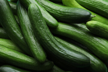 Many fresh green cucumbers as background, closeup view