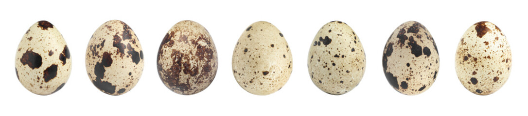 Set with quail eggs on white background. Banner design