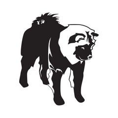 Chow chow dog black silhouette, vector illustration