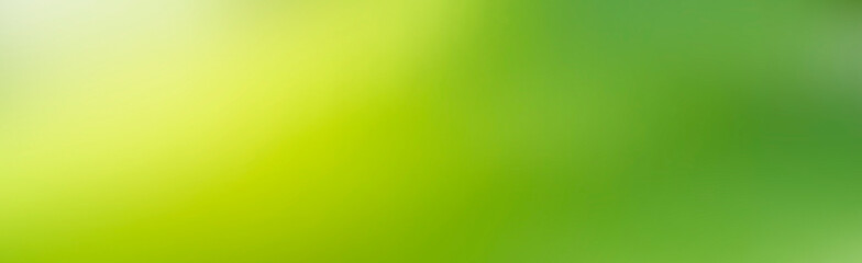 Blurred green leaves tree beautiful abstract background.