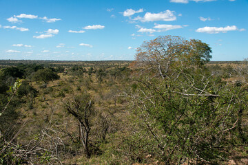 Parc national Kruger, Afrique du Sud