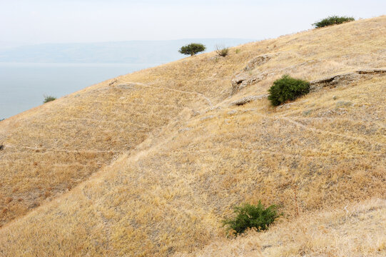 Slopes Of The Golan Heights