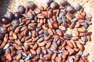 Cacao beans  and mutmeg,drying under the sunny day