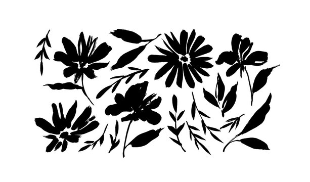 Meadow flowers hand drawn vector set. Ink drawing wild flowers, brush painted herbs. Floral drawings collection. Black and white artistic botanical elements. Chrysanthemums or chamomiles
