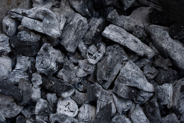 coal wood