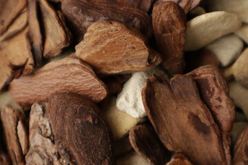 close up of dried mushrooms