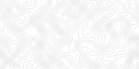 Topographic background and texture, monochrome image. abstract topography line waves. Cartography Background, White wave paper curved reliefs abstract background	
