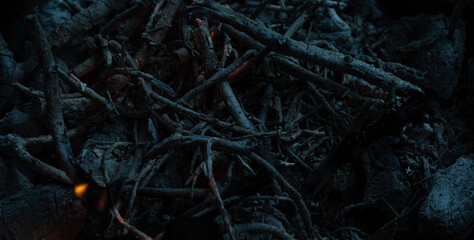 fire in the forest