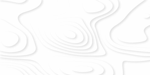 Abstracts Luxury paper cut background, Abstract decoration, white pattern gradients, 3d Vector illustration, topographic canyon map light relief texture, curved layers and shadow.