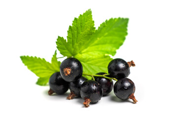Black currant with leaves isolated. close up