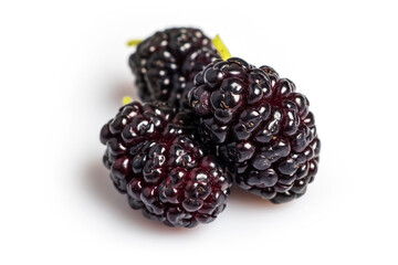 Black mulberry isolated on a white background closeup