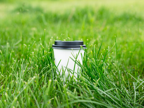 White paper cup with cappuccino coffee or take away tea standing on green grass close up hot drink summer mockup friendly