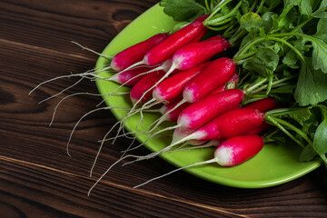 Summer harvested red radish. Growing organic vegetables.