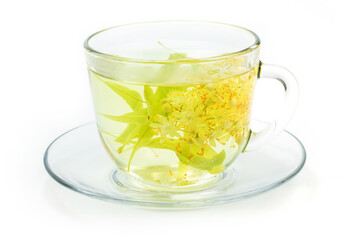 Cup of herbal tea with linden flowers on a white background