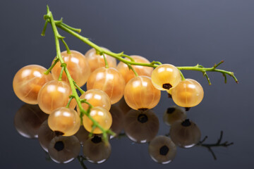 Ripe Sweet White Currants on the dark background