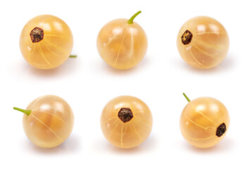 White currant isolate. Currant white on white background. Top view. Side view. Set with full depth...