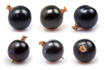 Black currant isolate. Currant black on white background. Top view. Side view. Set with full depth of field.