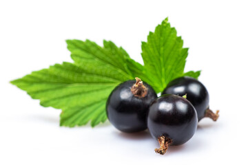 Black currant with leaves isolated on white