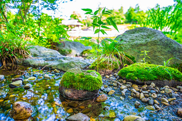 苔の緑と池の青が圧倒的に美しい自然の姿