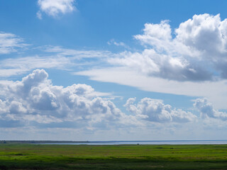 Obraz premium Cloudy sky with beautiful clouds in the blue sky over a flooded green meadow near the sea bay. Beautiful cloudy landscape over the lagoon of the sea. Sky background with clouds
