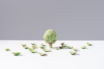 Flor de alcachofa cruda en pie con hojas que caen sobre una mesa blanca y fondo gris