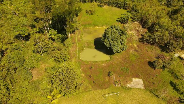 PAKAMAYU TINGO MARIA 2024