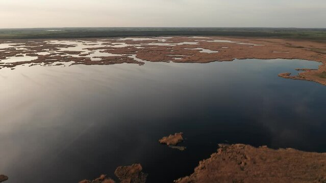 Aerial view of the shallow lake Zuvintas in Alytus district, central Lithuania.