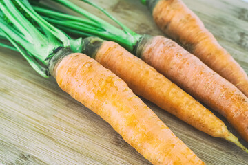 fresh carrots with green tops on wooden background close-up