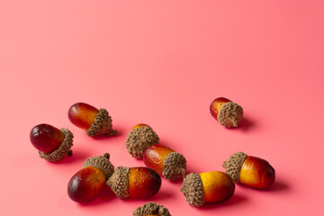 Acorn on a light pink background.