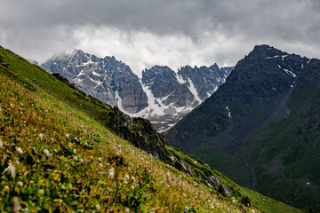 Fototapeta premium alpine meadow in the mountains