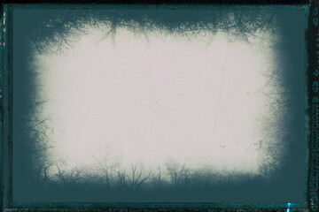 Artistic frame made from foggy bare forest branches - Vintage photo with film strip frame and grain