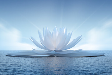 Fototapeta premium huge translucent water lily in the sea