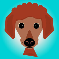 Ginger Standard poodle puppy cartoon illustration